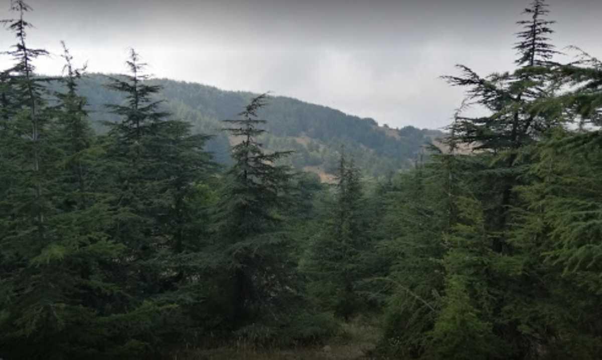 Shouf Biosphere Reserve