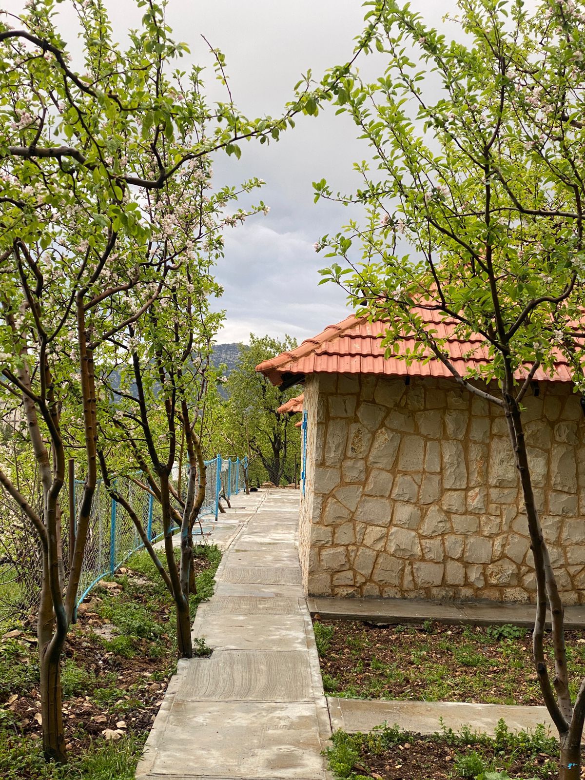 Stone Chalet – Bqarsouna, Dannieh