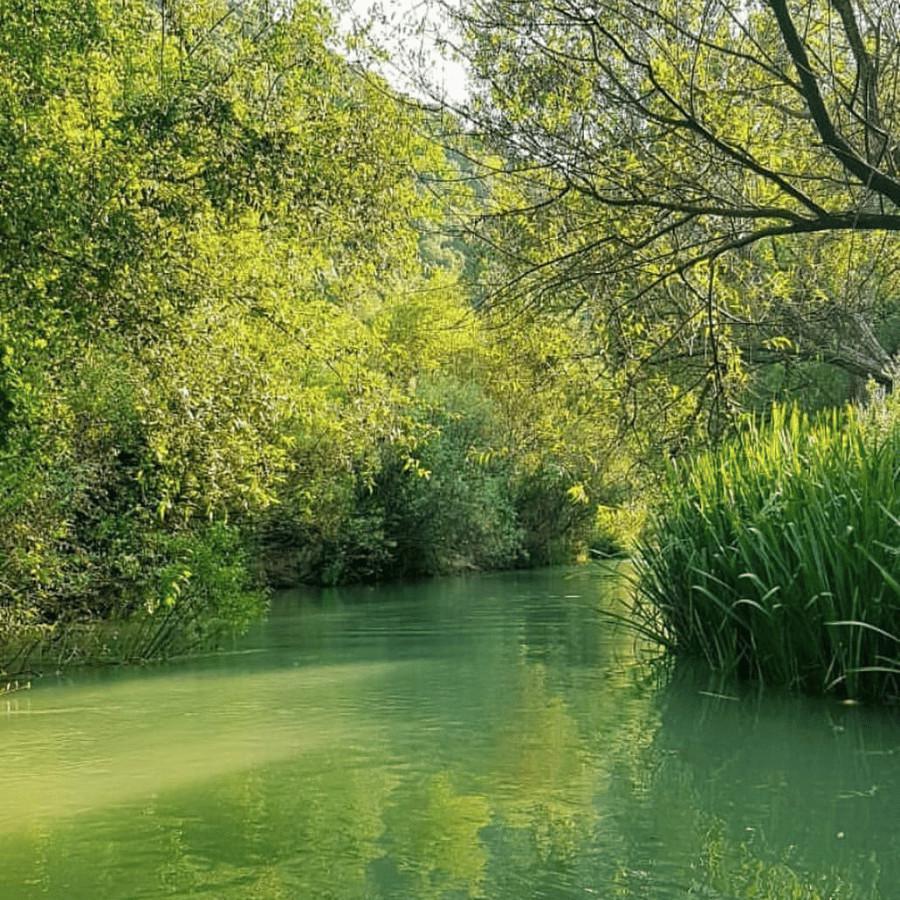 بيت عالنهر – زوطر, نبطية