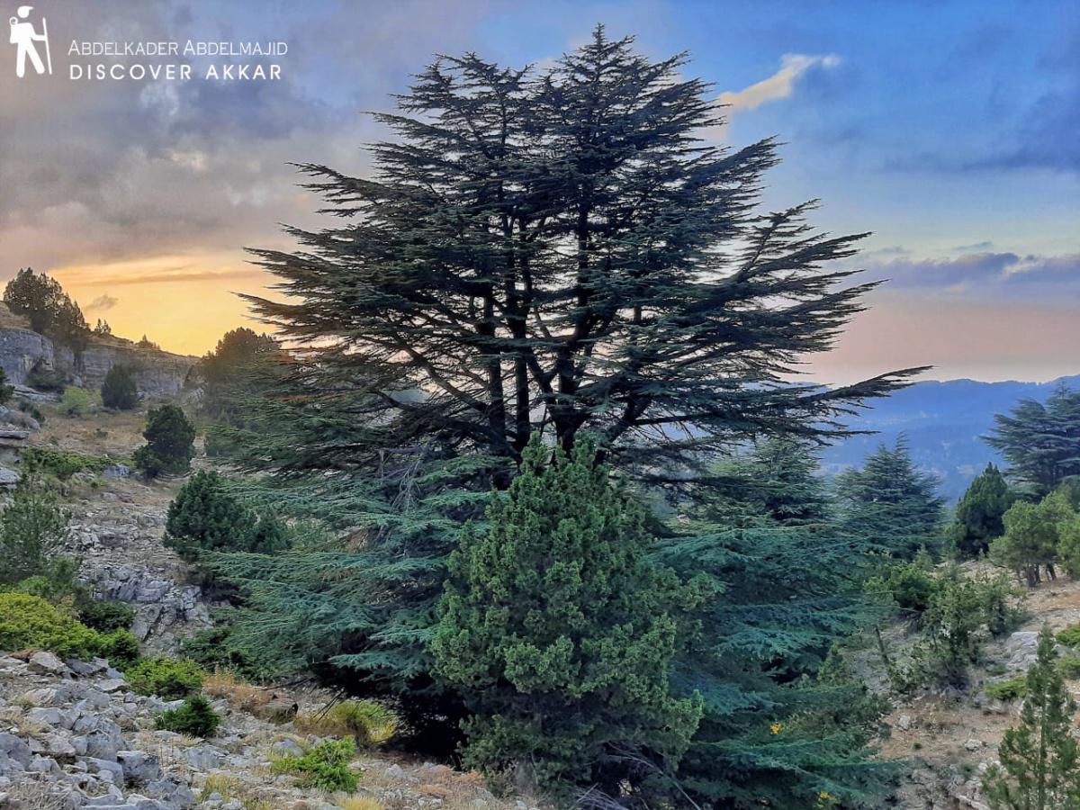 Arouba Valley Trail – Al Ezr, Akkar