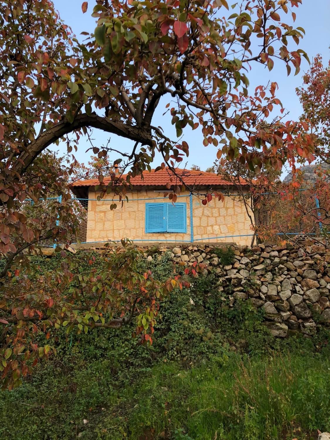 Chalets – Bqarsouna