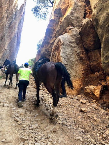 نادي الأدهم لركوب الخيل