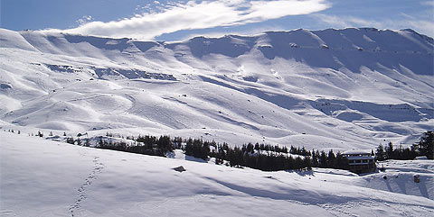 Cedars Ski Resort