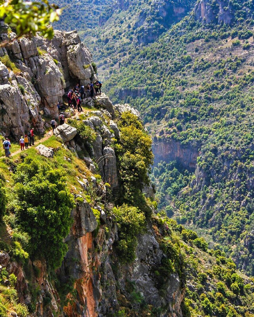 Wadi Qannoubine