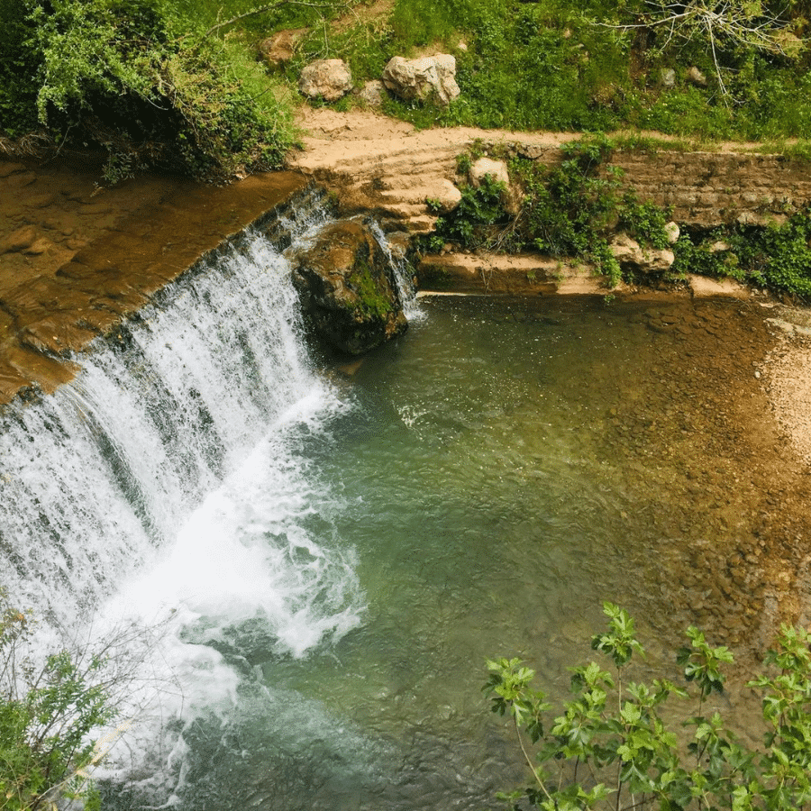 Aarab Salîm Spring