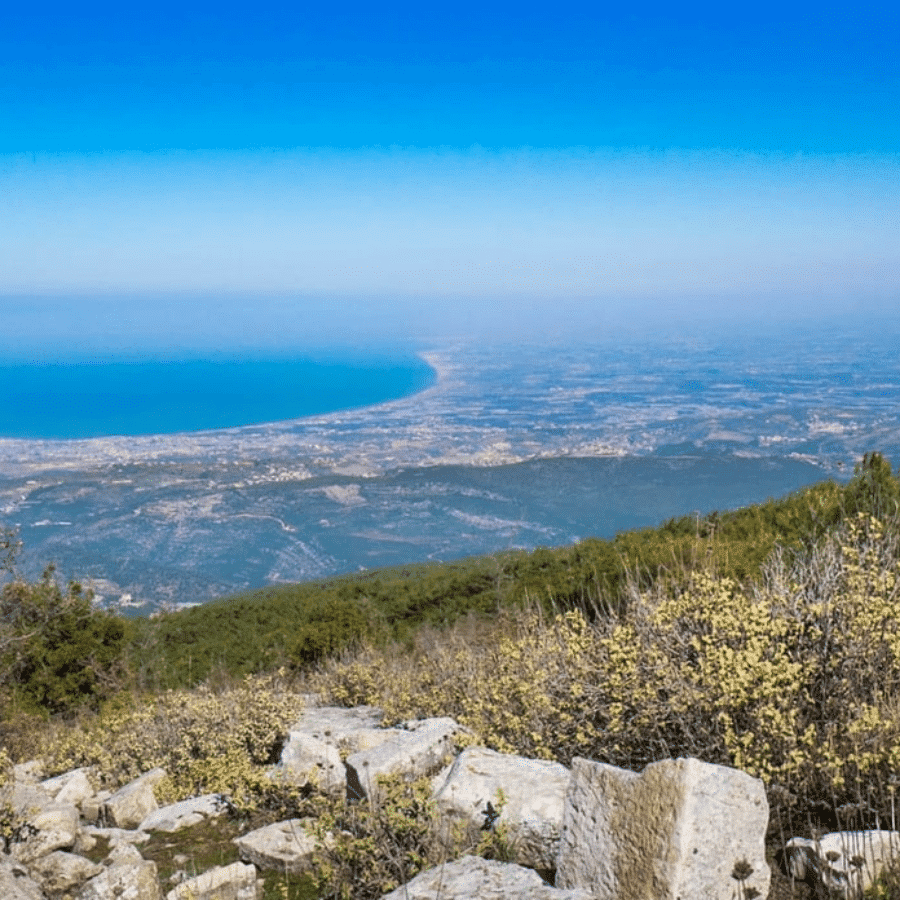 Ruins in Sfireh