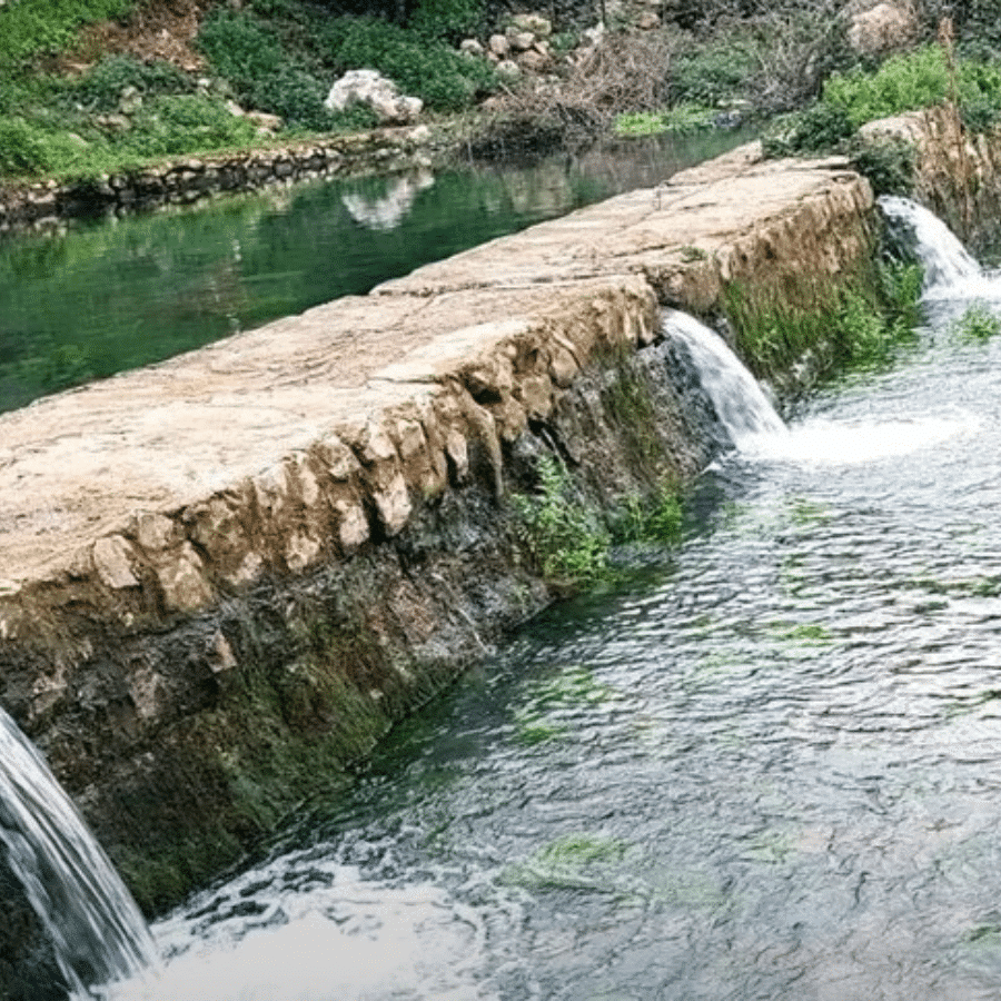 محمية وادي الحجير