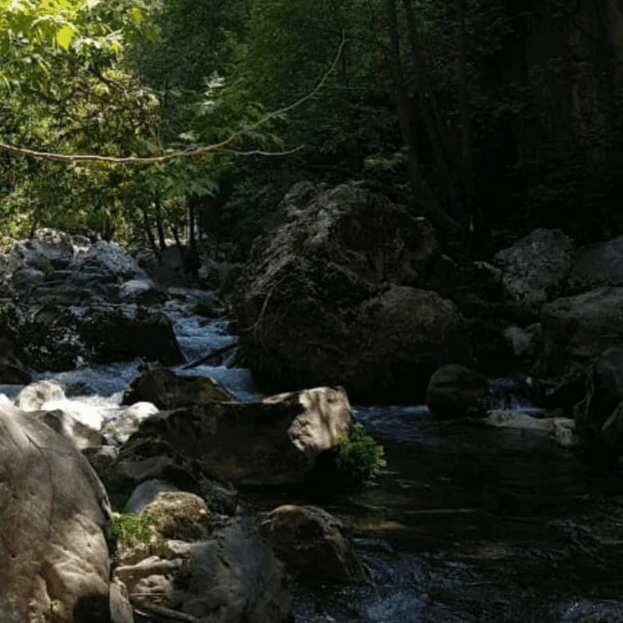 Hiking in Jabal Moussa Biosphere Reserve