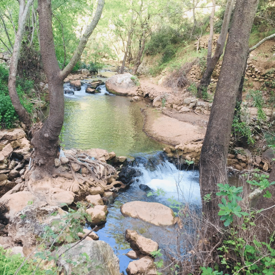 Aarab Salîm Spring