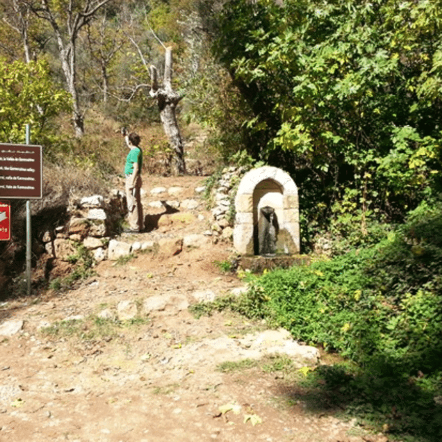 Hike Wadi Qannoubine