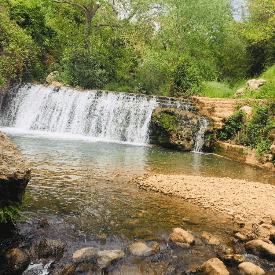 Aarab Salîm Spring