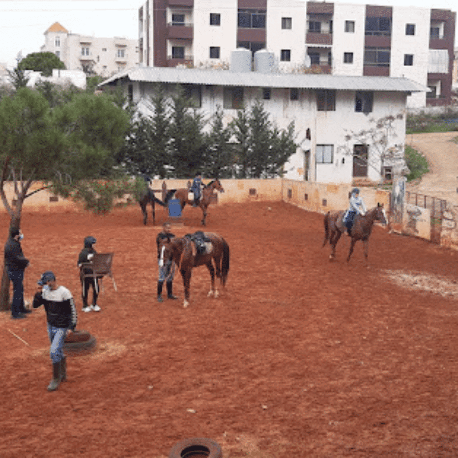 Zefta Horse Riding Club