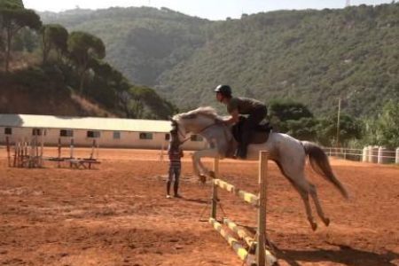 Pegasus Horse Riding Club