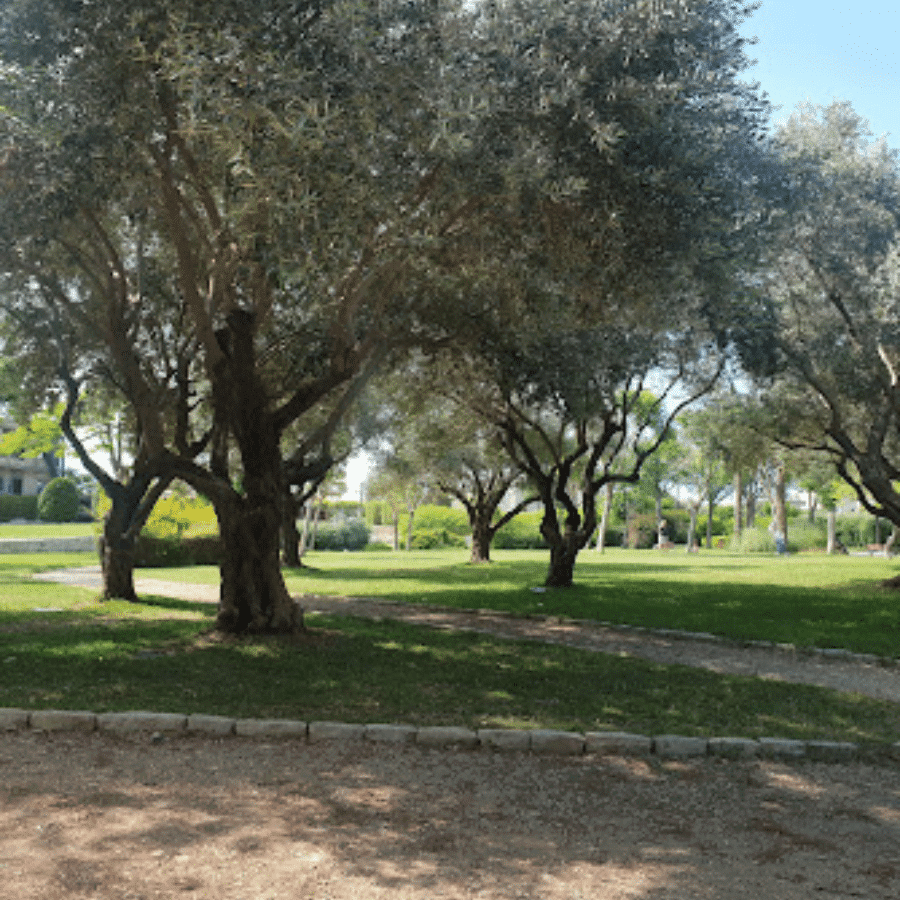 Jbeil public park