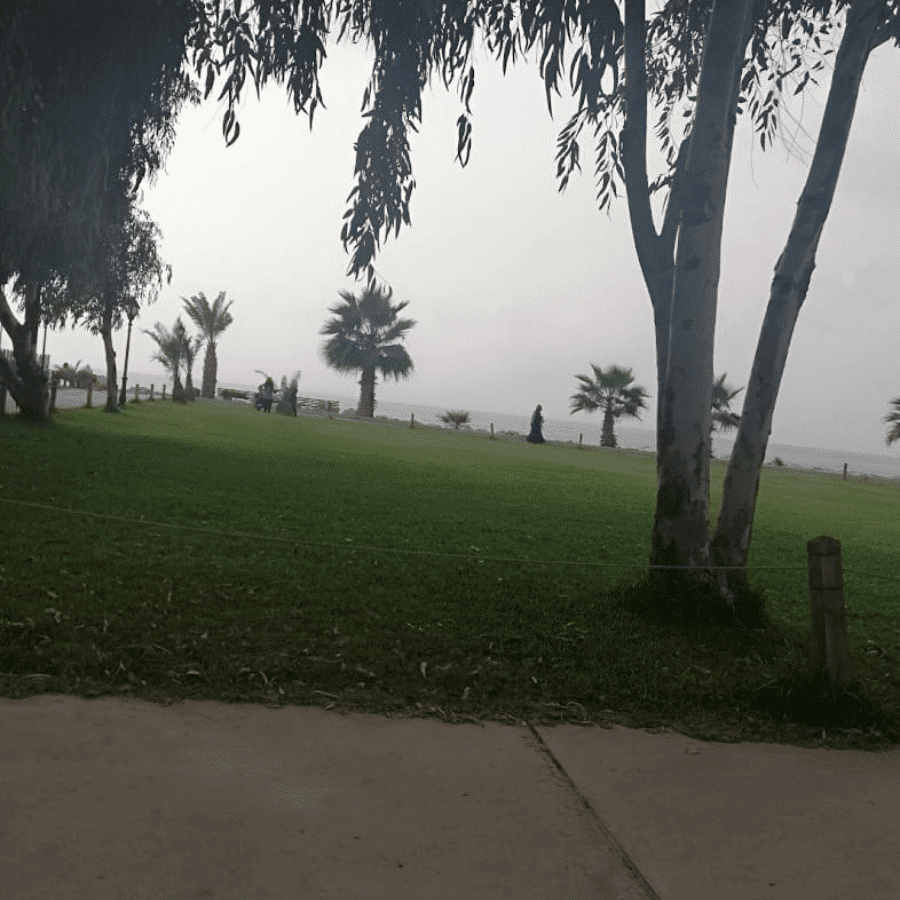 Sidon Municipality Park