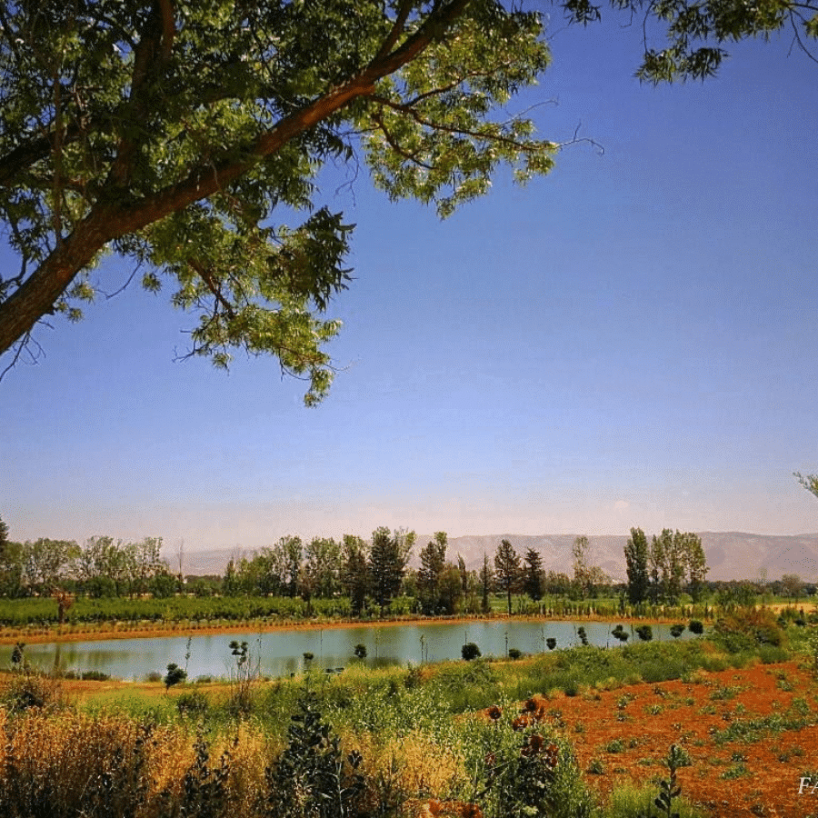 Go on a Walk in Deir Taanayel Reserve 