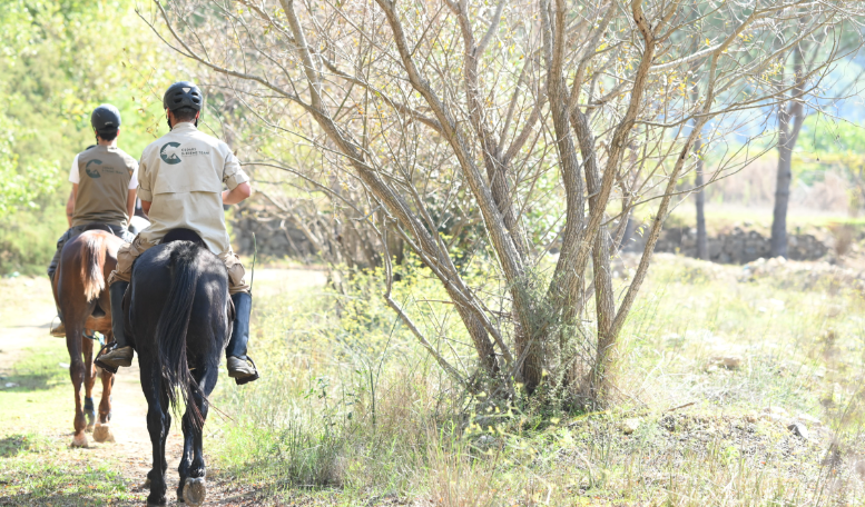 Cedars Trail Riding