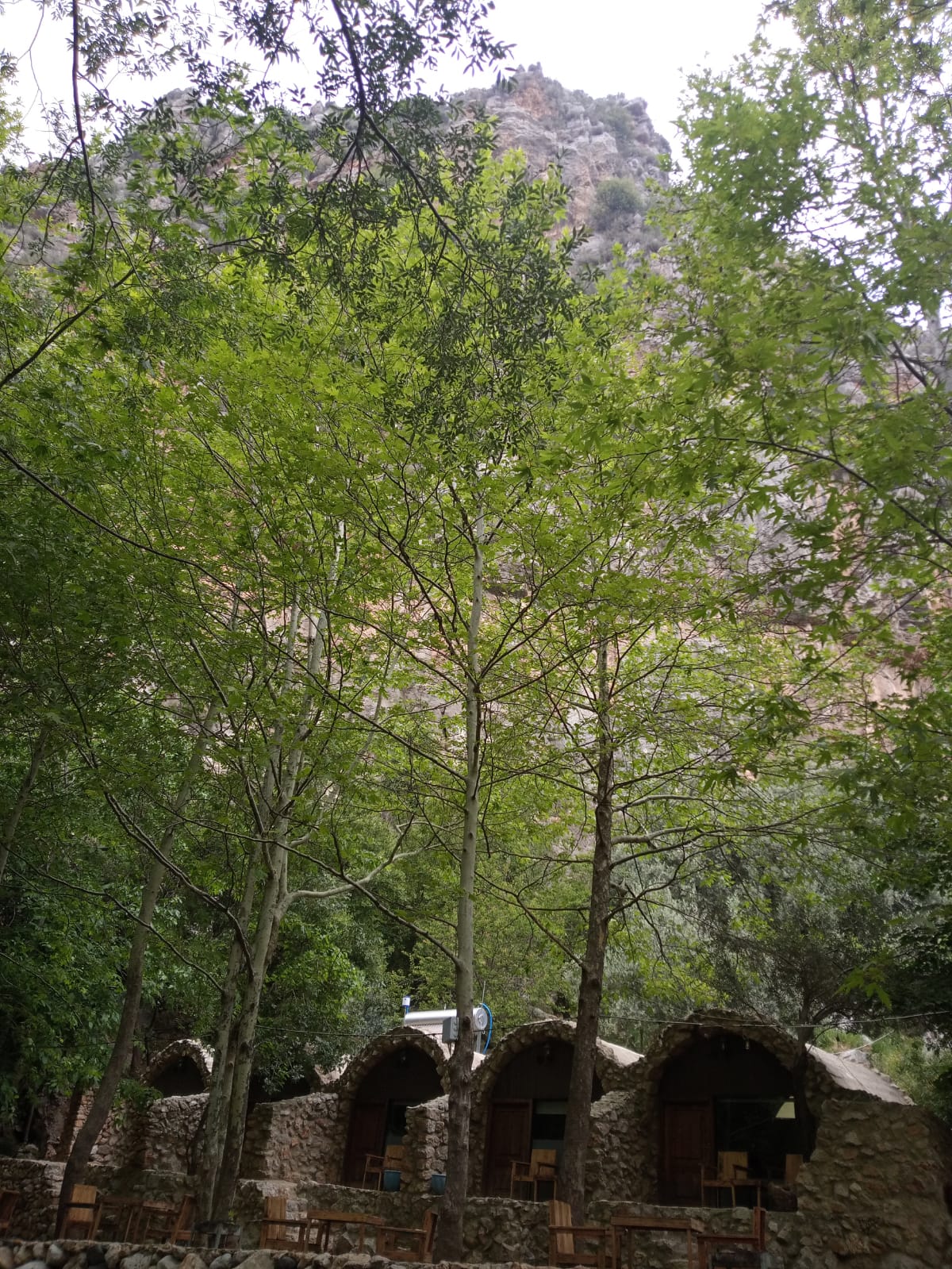 Caves – Tannourine el Tahta