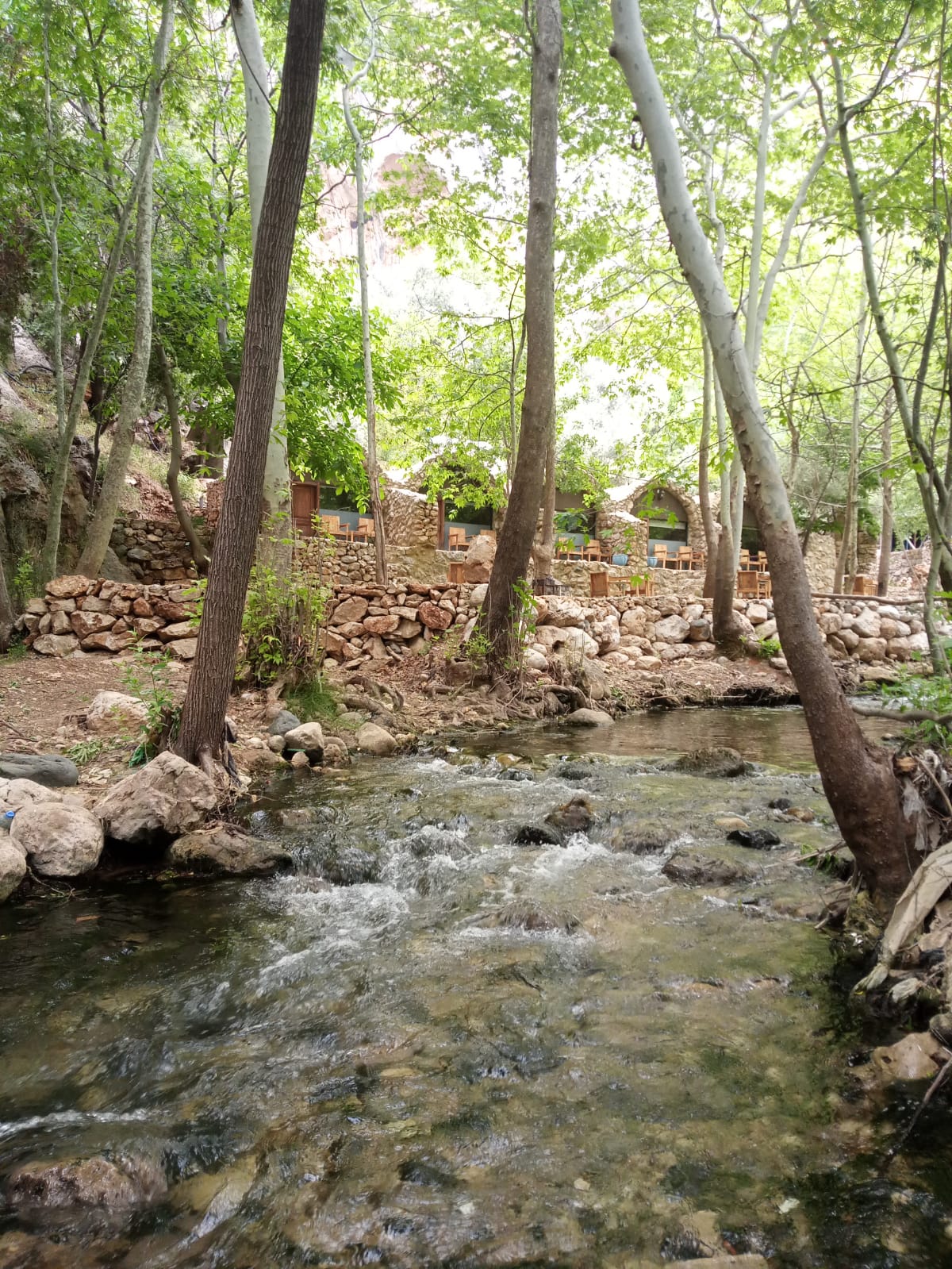 Caves – Tannourine el Tahta