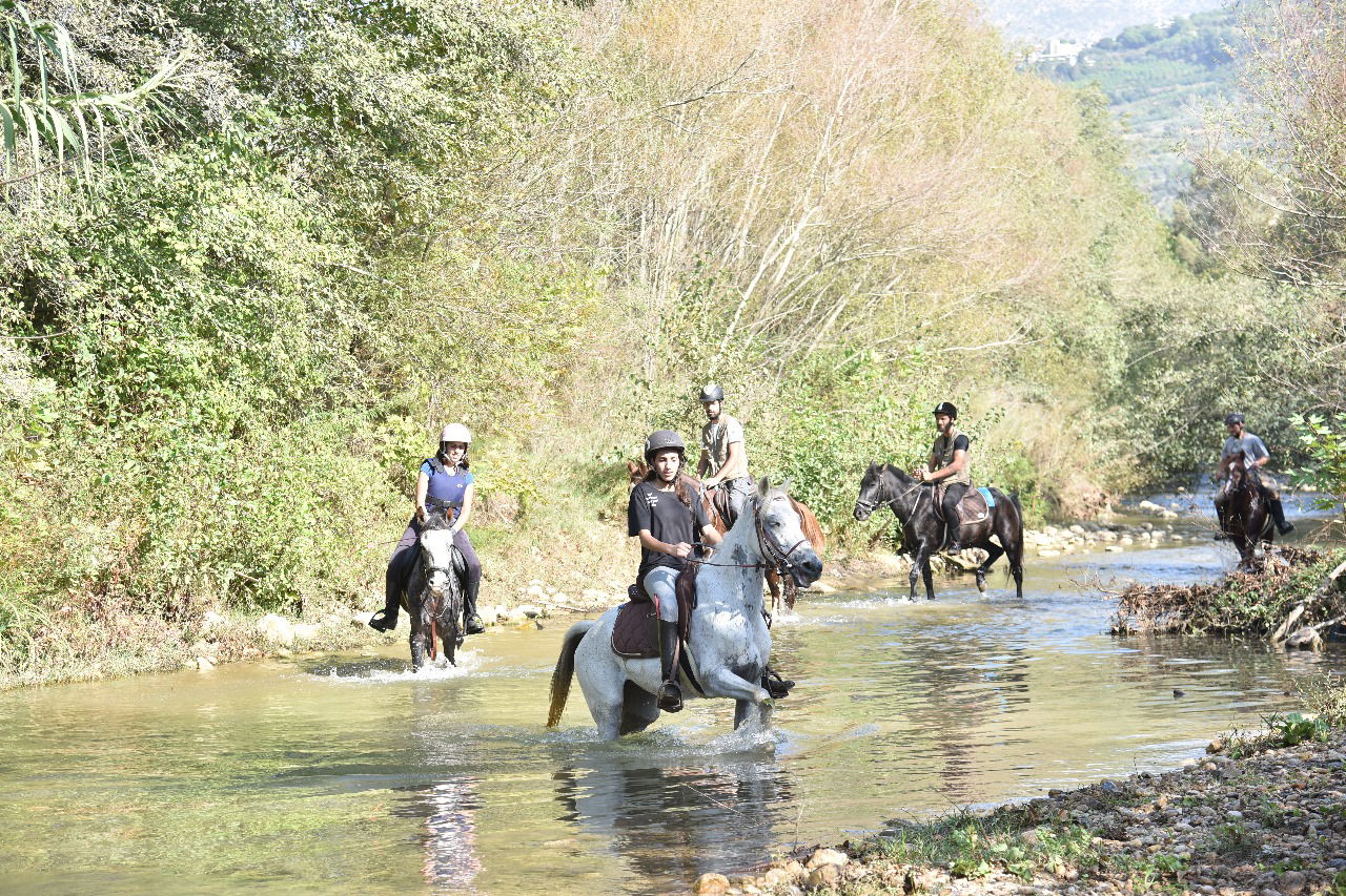 Cedars Trail Riding