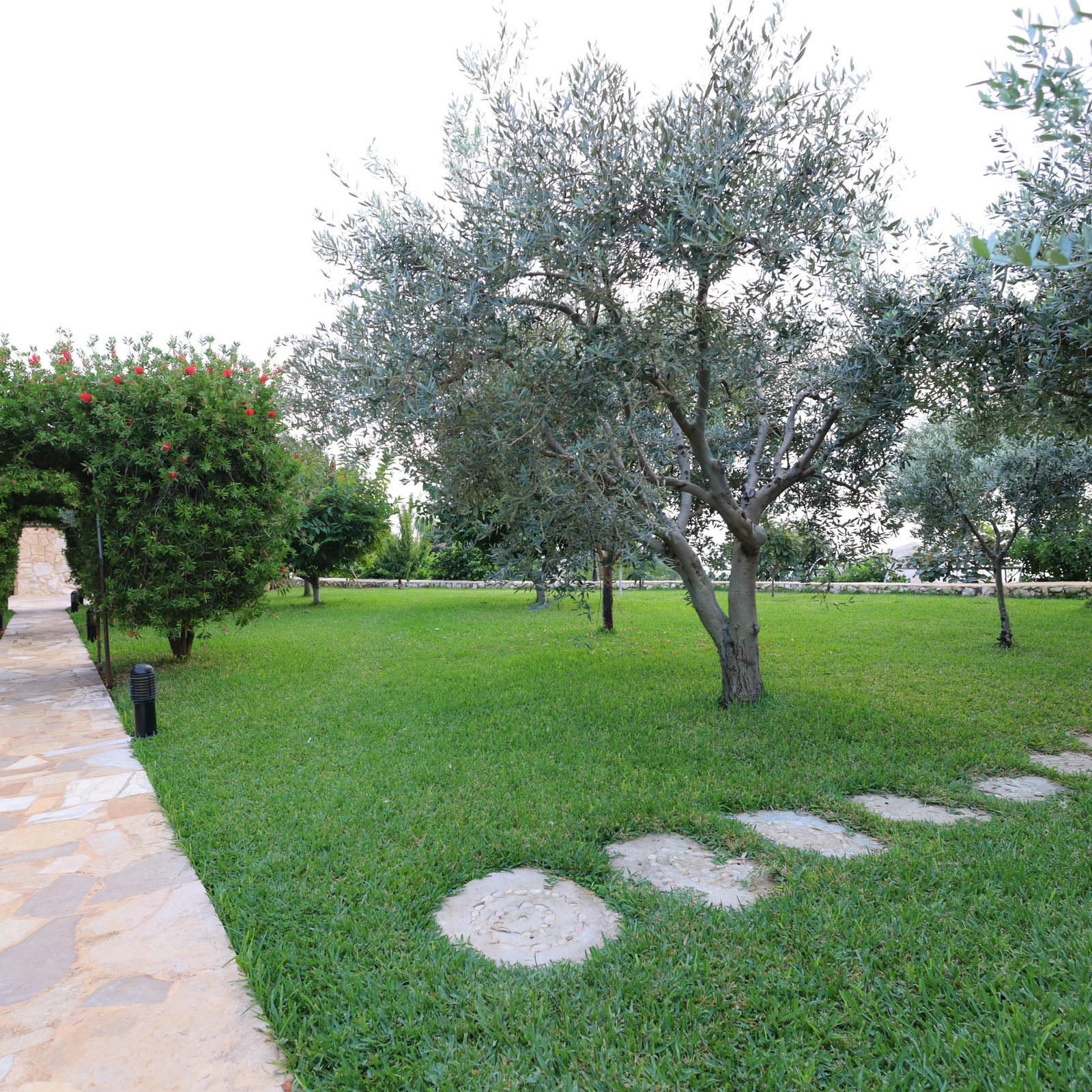 Villa with Private Pool- Edde, Jbeil