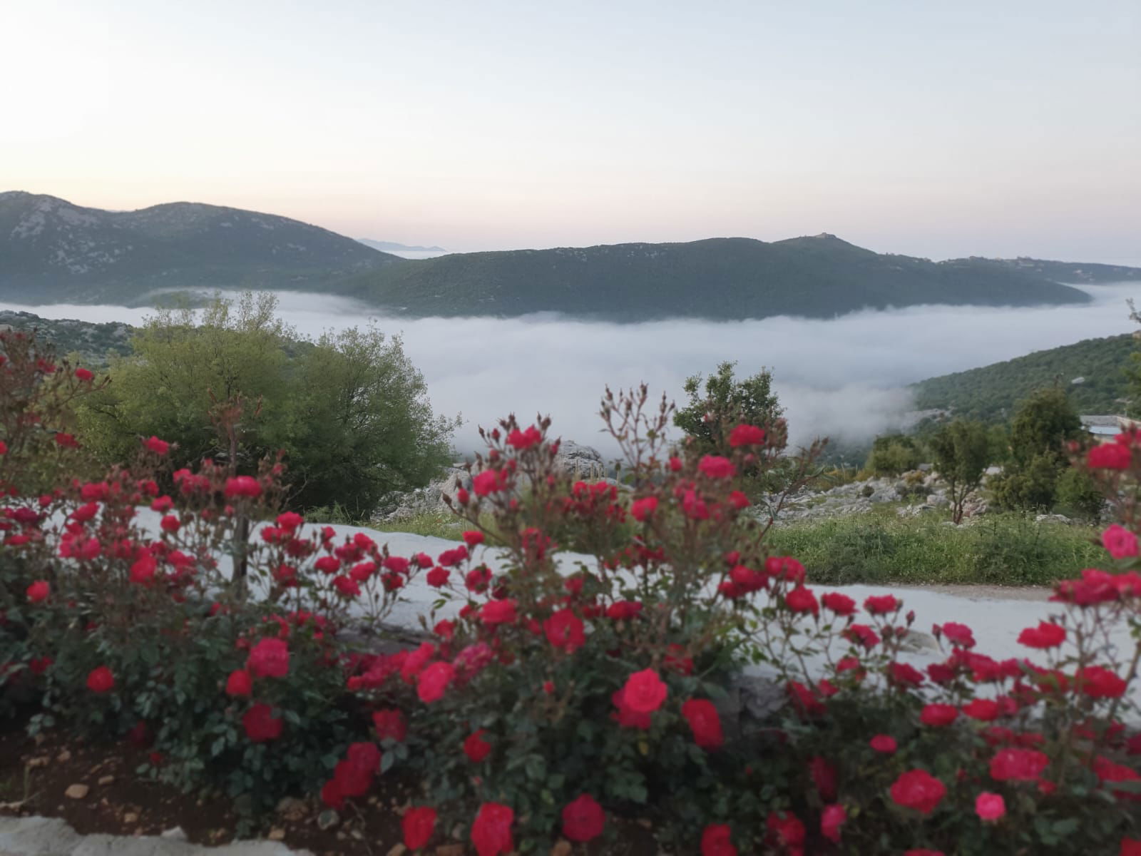 شاليه مع مسبح – لويزة,جنوب لبنان