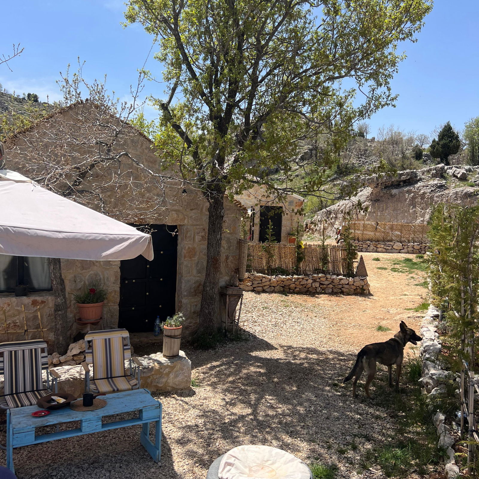 Cedar Paradise Chalet – Tannourine el Fawqa