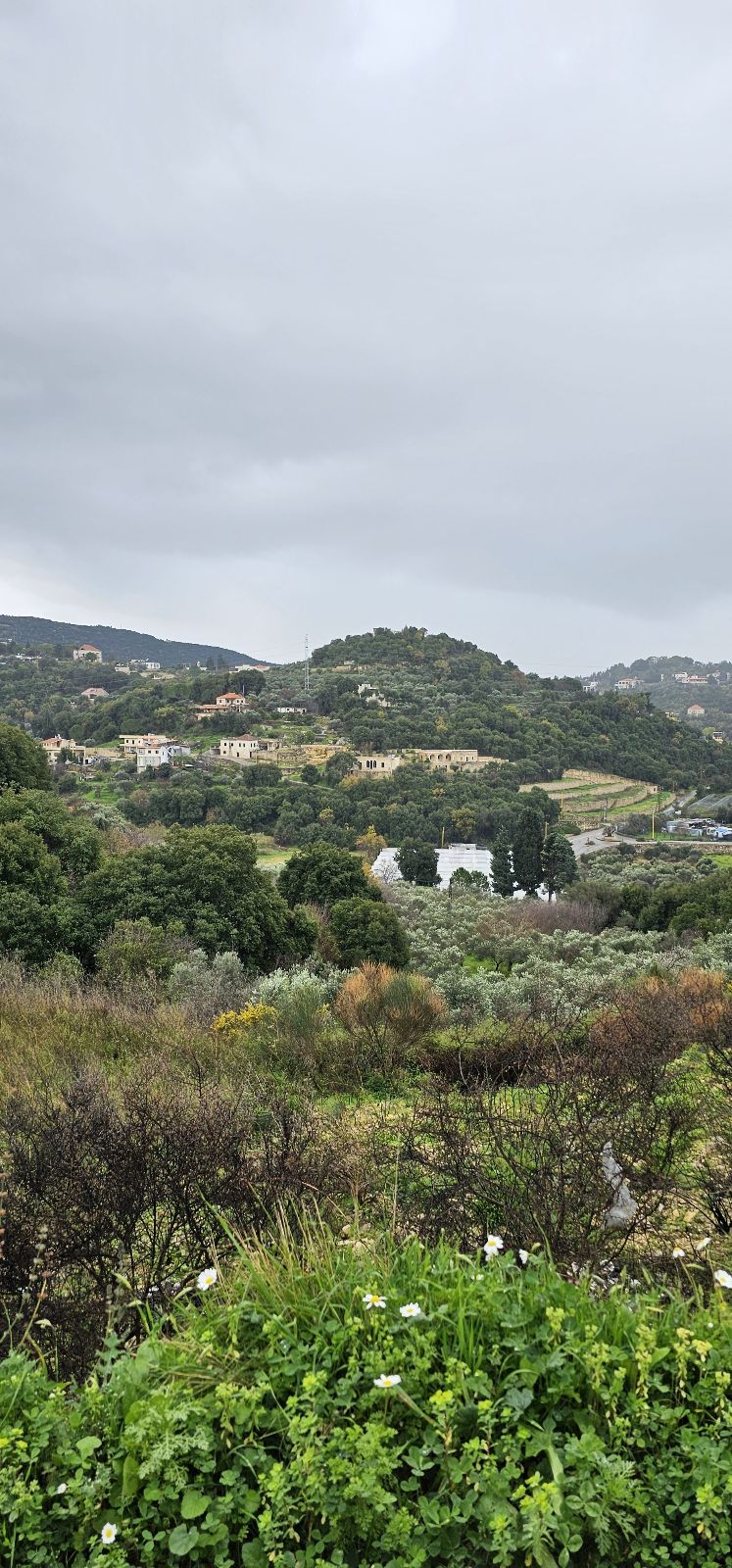 Scenic Drive Through Batroun Mountains